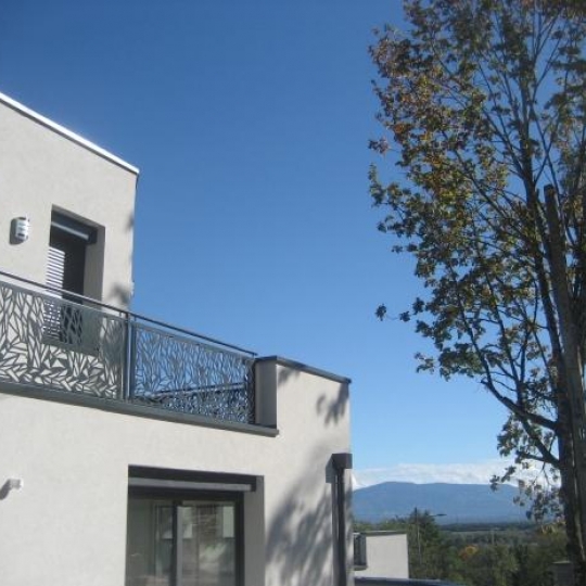  CHANTAL SAUGE REAL ESTATE : Maison / Villa | DIVONNE-LES-BAINS (01220) | 160 m2 | 790 000 € 