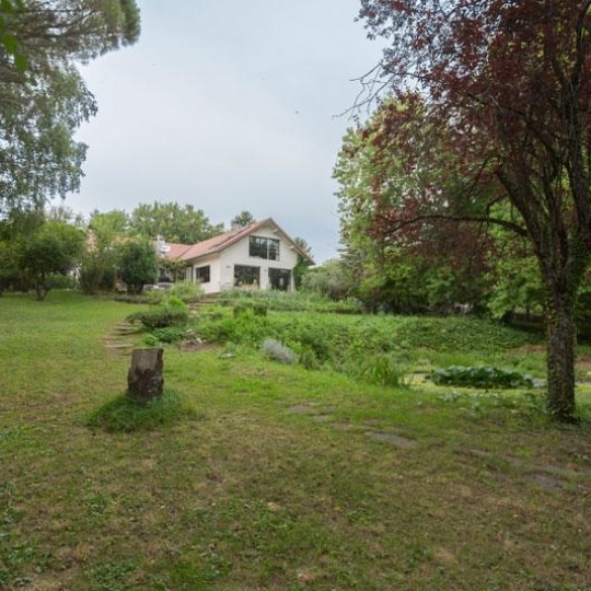  Annonces DIVONNE : Domaines / Propriétés | SAUVERNY (01220) | 450 m2 | 1 490 000 € 