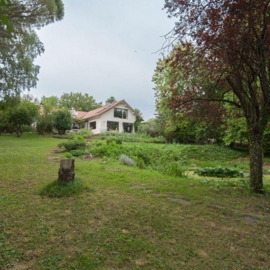  CHANTAL SAUGE REAL ESTATE : Domaines / Propriétés | SAUVERNY (01220) | 450 m2 | 1 490 000 € 