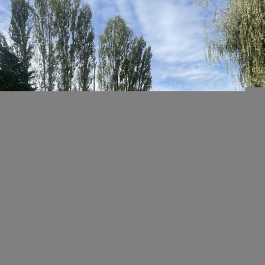  Annonces DIVONNE : Maison / Villa | MESSERY (74140) | 160 m2 | 920 000 € 