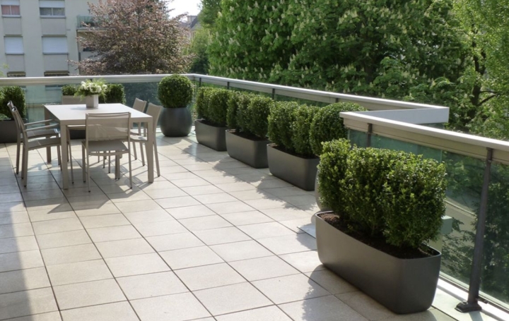 Appartement P3 FERNEY-VOLTAIRE 70 m2 439 000 € Appartement P3 FERNEY-VOLTAIRE 70 m2 439 000 €