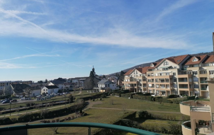 CHANTAL SAUGE REAL ESTATE : Apartment | DIVONNE-LES-BAINS (01220) | 161 m2 | 765 000 € 